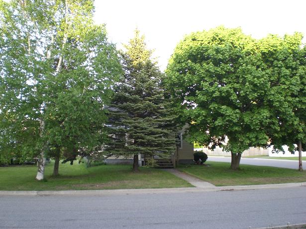 TREES